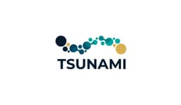 Tsunami