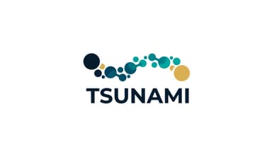 Tsunami